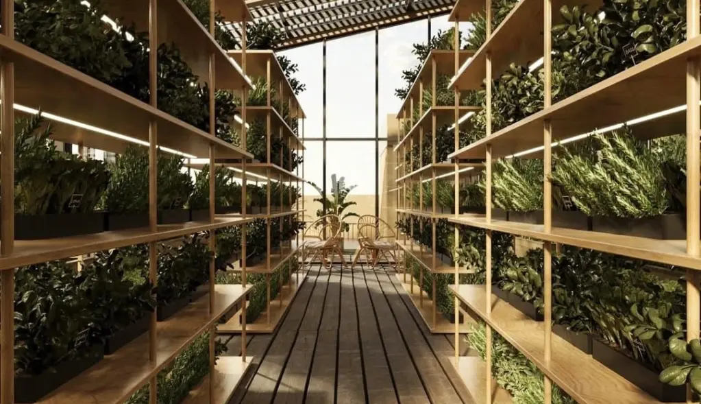 Rooftop hydroponic garden