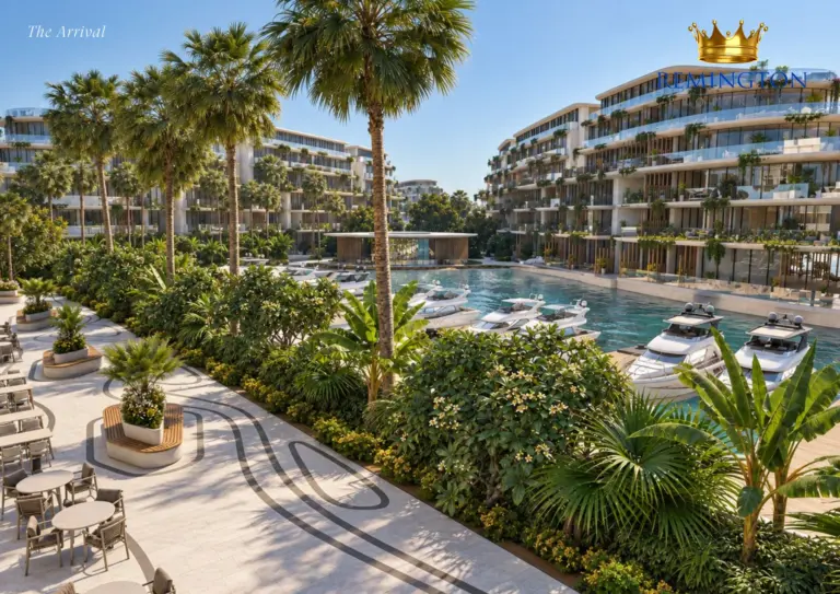Palm-lined arrival courtyard at Samana Collecta